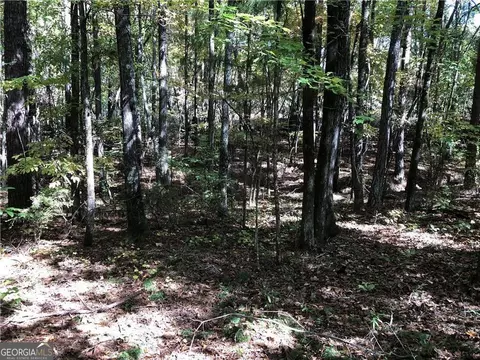 0 Coady Rd, Jackson, GA 30233 photo 3