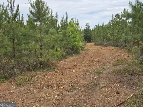 12 Marvin Murphy Rd, Ellaville, GA 31806