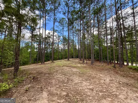 0 Rollin Ml #TRACT 2, Franklin, GA 30217