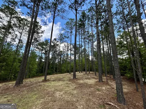 0 Rollin Ml #TRACT 2, Franklin, GA 30217 photo 13