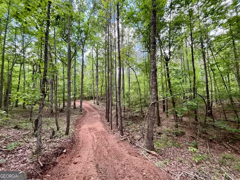 0 Rollin Ml #TRACT 2, Franklin, GA 30217 photo 8
