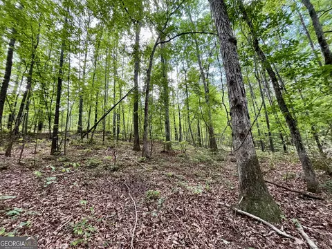 0 Rollin Ml #TRACT 2, Franklin, GA 30217 photo 9