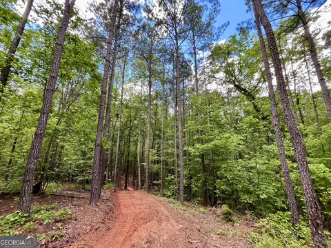 0 Rollin Ml #TRACT 2, Franklin, GA 30217 photo 7