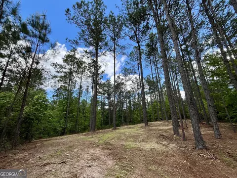 0 Rollin Ml #TRACT 2, Franklin, GA 30217 photo 3