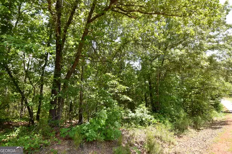 0 Skelton Rd #LOT 13, Thomaston, GA 30286