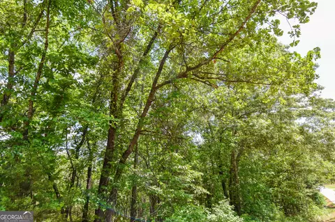 0 Skelton Rd #LOT 14, Thomaston, GA 30286