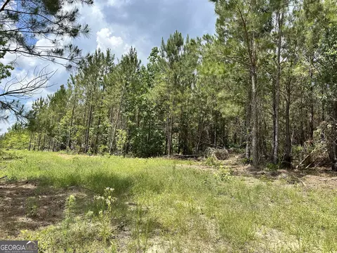 lot7 5 Highway 19, Dublin, GA 31021