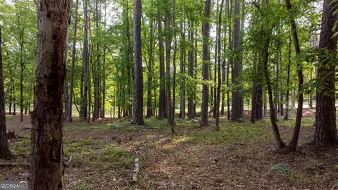 1120 Lake Dr, Greensboro, GA 30642