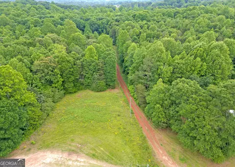 464 Deer Meadows Estates Rd, Carnesville, GA 30521 photo 4