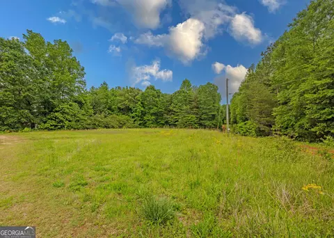 464 Deer Meadows Estates Rd, Carnesville, GA 30521 photo 11