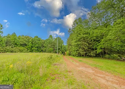 464 Deer Meadows Estates Rd, Carnesville, GA 30521 photo 13