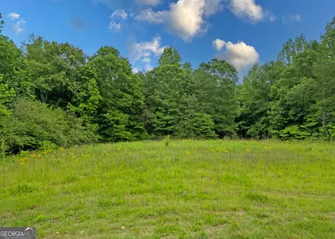 464 Deer Meadows Estates Rd, Carnesville, GA 30521