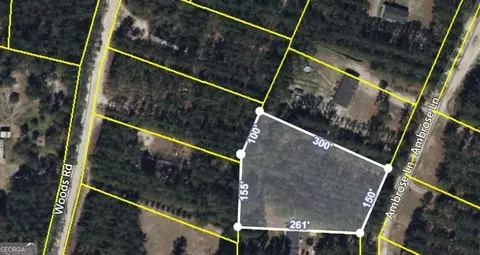 84 Ambrose Ln, Hortense, GA 31543