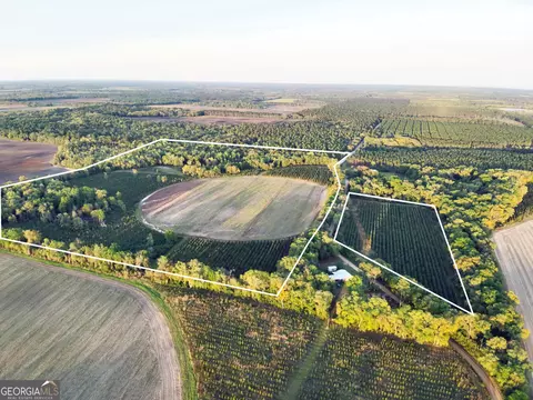 0 Cumbie Rd, Climax, GA 39834