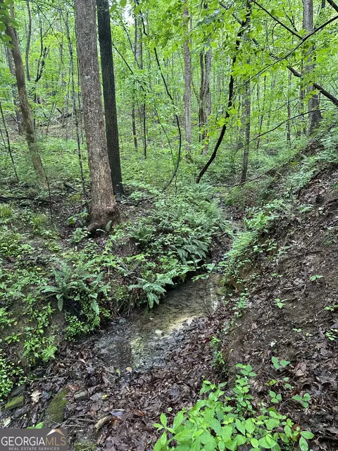 Other - 0 W Leatherwood Rd, Toccoa, GA 30577 photo 12 of 14