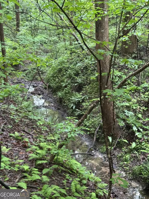 Other - 0 W Leatherwood Rd, Toccoa, GA 30577 photo 13 of 14