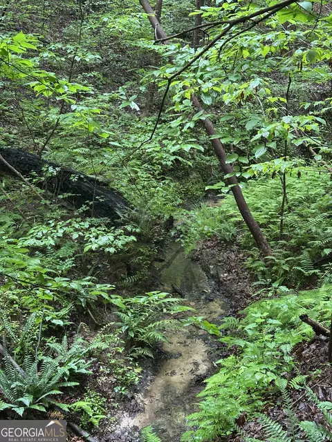 Other - 0 W Leatherwood Rd, Toccoa, GA 30577 photo 14 of 14