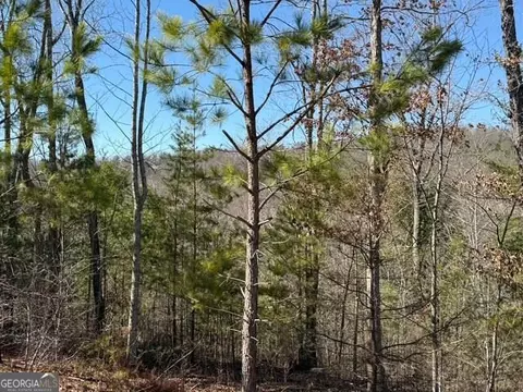 lot11 Long View Ln, Blue Ridge, GA 30513