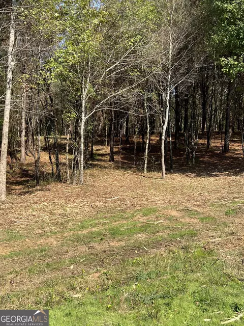850 Browning Rd, Jasper, GA 30143 photo 7
