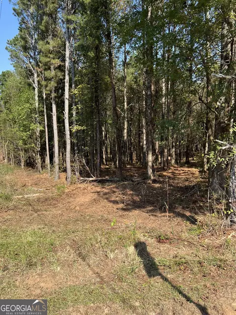 850 Browning Rd, Jasper, GA 30143 photo 12