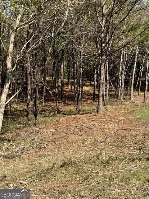 850 Browning Rd, Jasper, GA 30143 photo 5