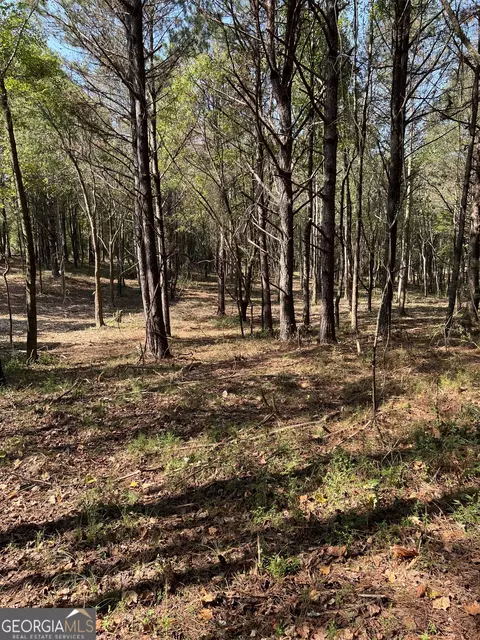 850 Browning Rd, Jasper, GA 30143 photo 6