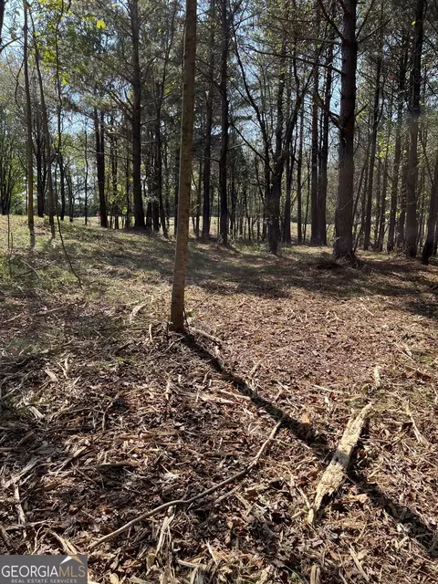 850 Browning Rd, Jasper, GA 30143 photo 8