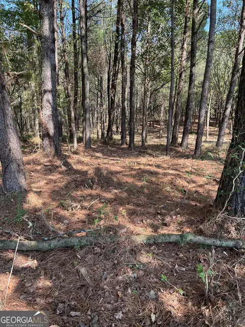 850 Browning Rd, Jasper, GA 30143 photo 9