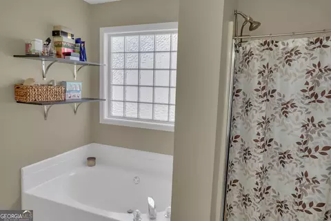 Bath - 11367 Vinea Ln, Hampton, GA 30228 photo 4 of 4