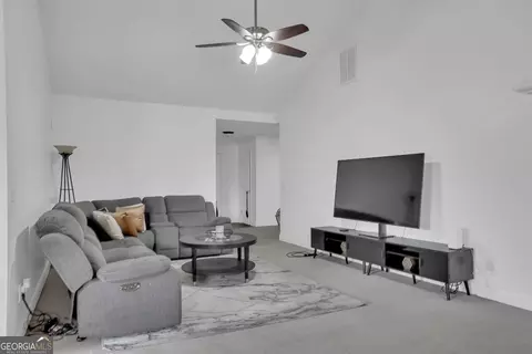 Other - 11367 Vinea Ln, Hampton, GA 30228 photo 4 of 6