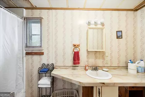 Bath - 177 Patton Rd, Gray, GA 31032 photo 1 of 2