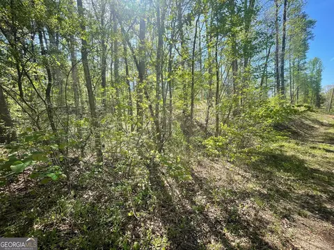 174 Navajo Trl, Martin, GA 30557