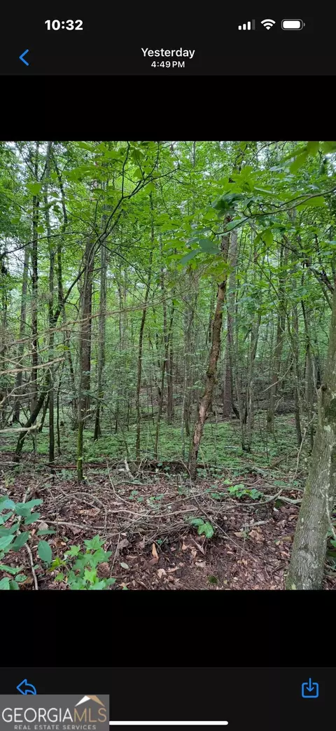 0 Glenn, Lula, GA 30554 photo 10