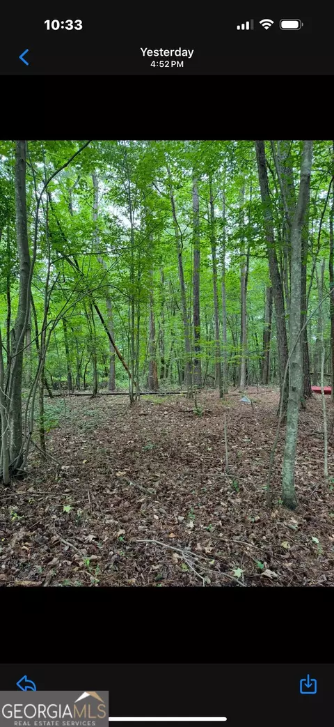 0 Glenn, Lula, GA 30554 photo 6