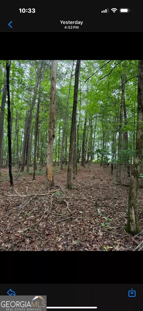 0 Glenn, Lula, GA 30554 photo 4