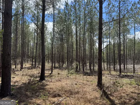 lot2 Lipham Rd, Franklin, GA 30217