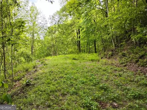 0 Highland Gap Rd #19, Scaly Mountain, NC 28775