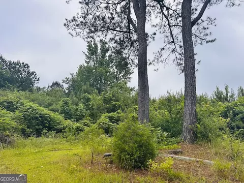 2485 Mitchellville Rd, Ohatchee, AL 36271