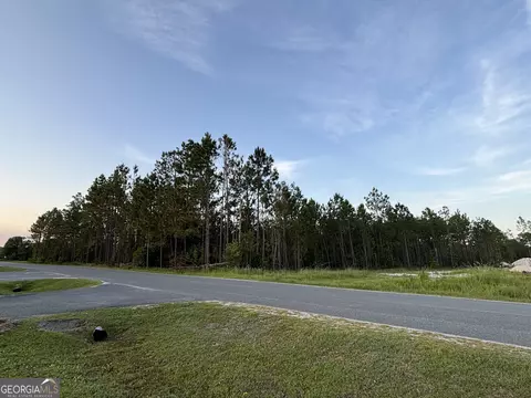 0 Lakeview Dr, Homerville, GA 31634