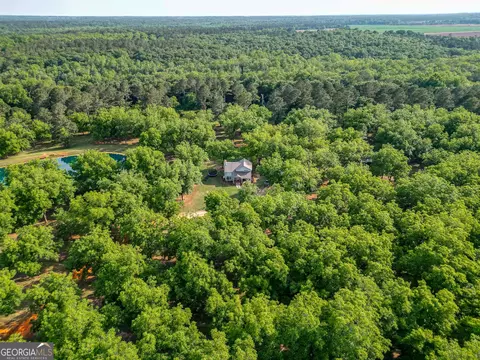 1609 Ivy Mill Rd, Parrott, GA 39877