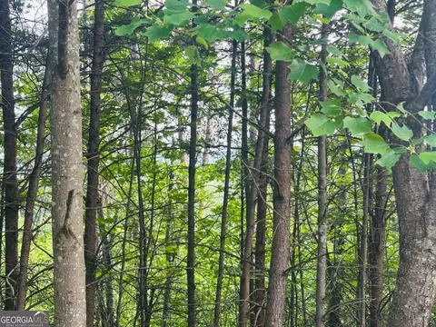 lot28 Crown Mountain Way, Dahlonega, GA 30533