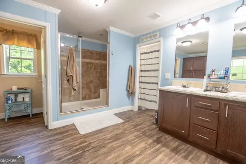 Bath - 3251 Harrell Rd, Whigham, GA 39897 photo 3 of 3