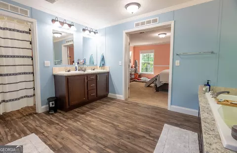 Other - 3251 Harrell Rd, Whigham, GA 39897 photo 4 of 13