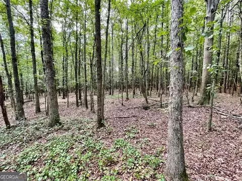 0 Harmony Gates Dr #21, Commerce, GA 30530 photo 7