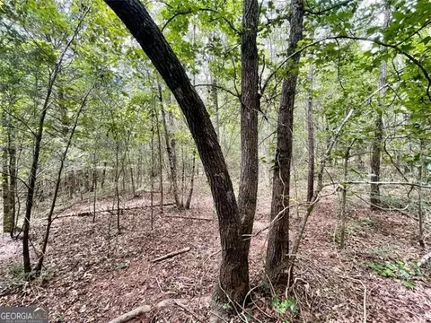 0 Harmony Gates Dr #21, Commerce, GA 30530 photo 5