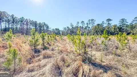 0 Highway 301 #7, Statesboro, GA 30461