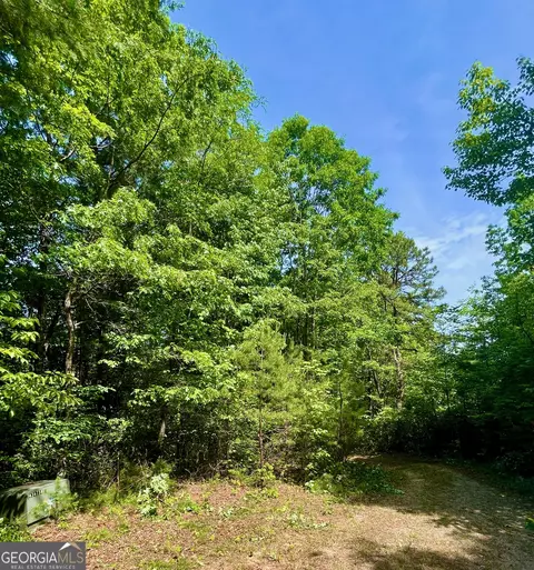 0 Bluff Mtn, Dillard, GA 30537