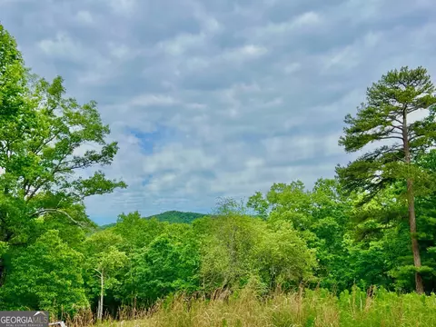 788 Beavers Dr, Morganton, GA 30560