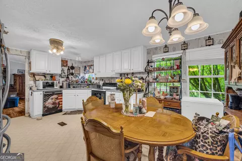 3085 Pea Ridge Rd, Cornelia, GA 30531 photo 9