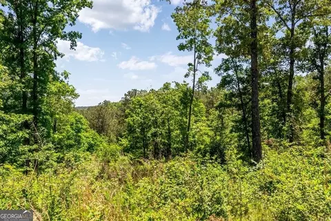 Lt160 Shallow Water Trail, Talking Rock, GA 30175